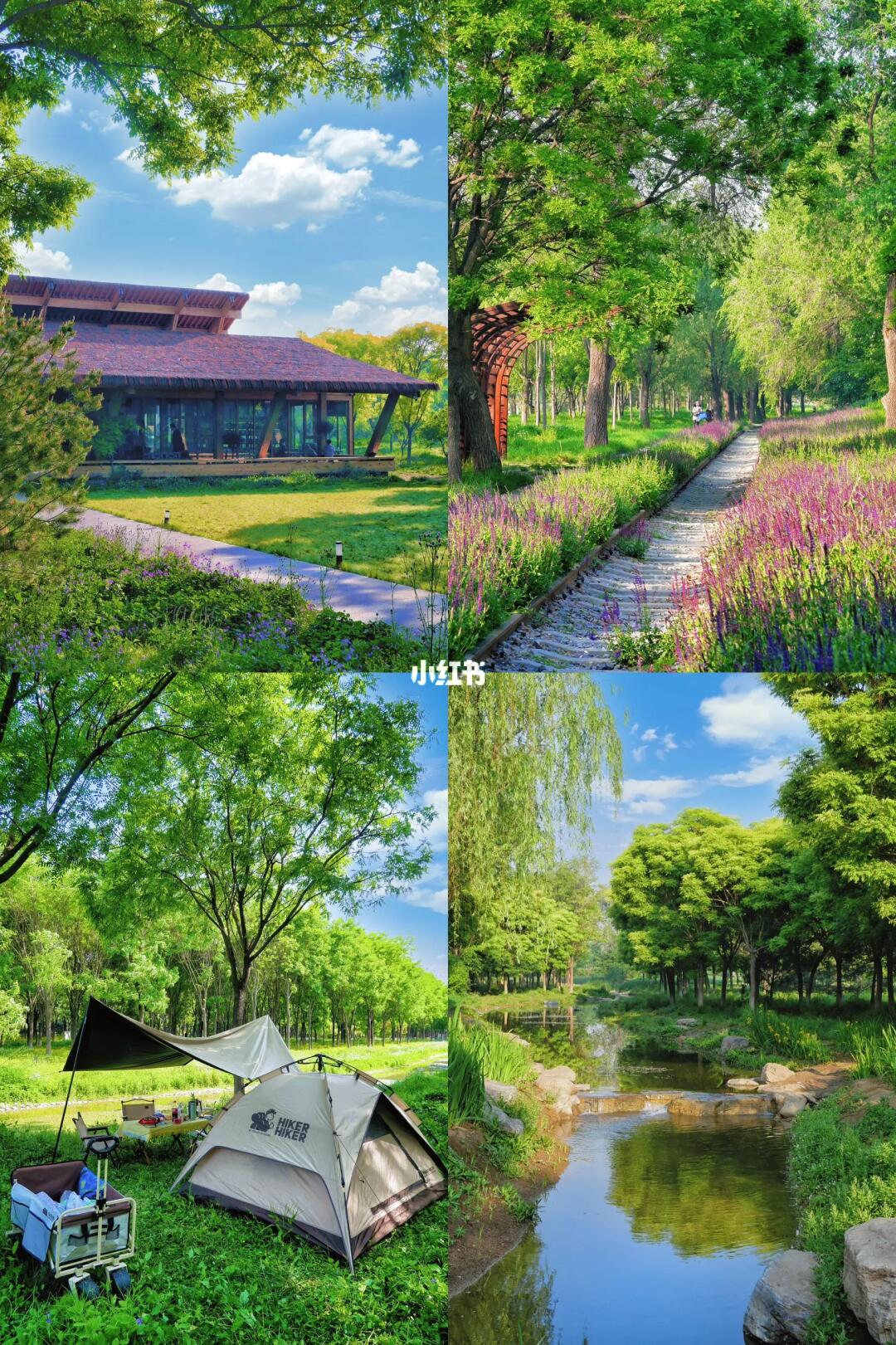 不私藏了❗️在北京又找到一个宝藏公园🌳