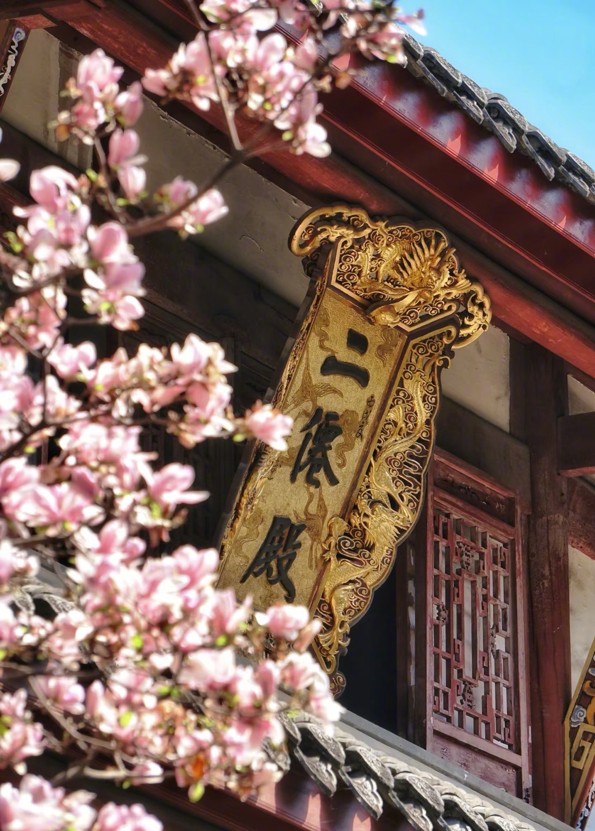 【在成都感受春日快乐】三月春风拂过蓉城，成都的春日美好如约而至。随着气温回升，整