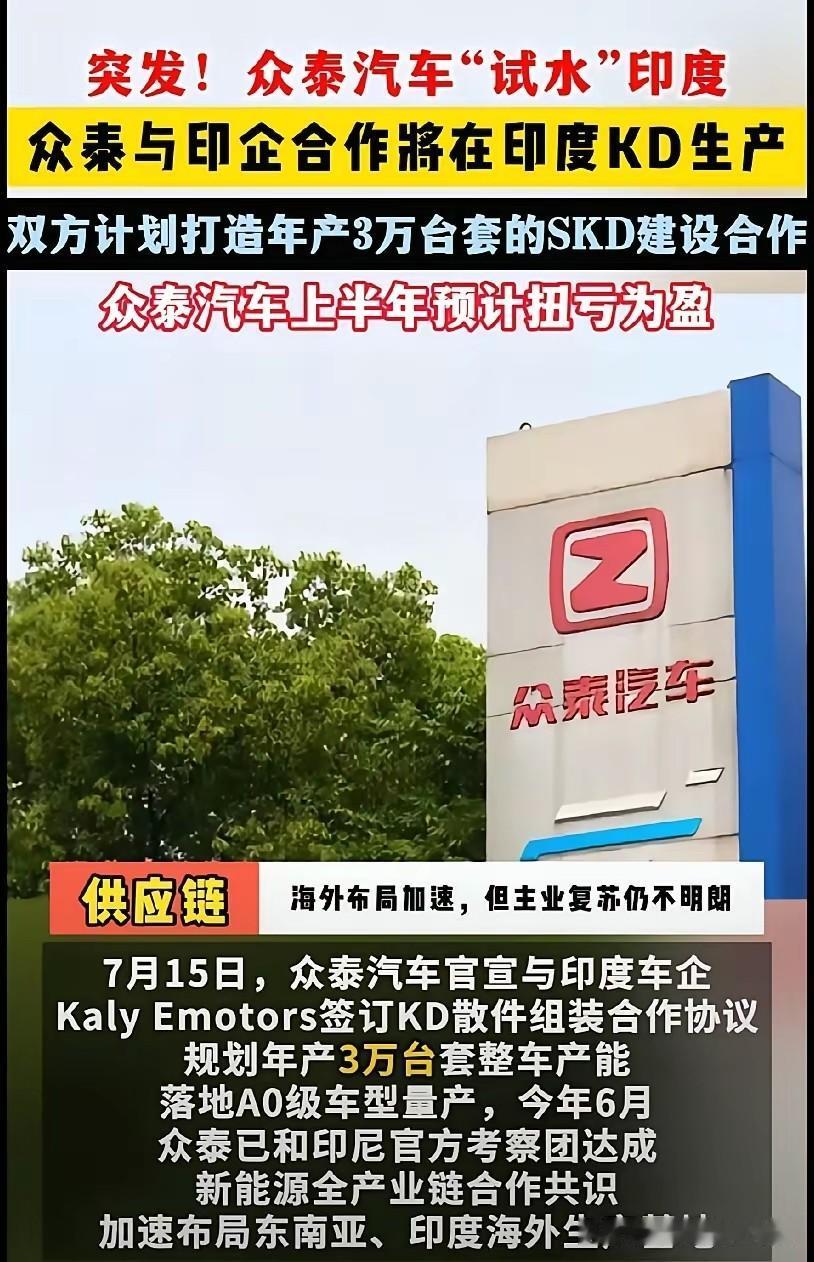 众泰：反正我已经死过一次，大不了再栽一回，索性试着空手套一波市场红利。
先别嘲笑
