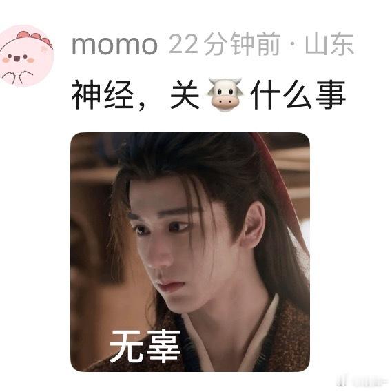 张凌赫现在已是万人迷了 