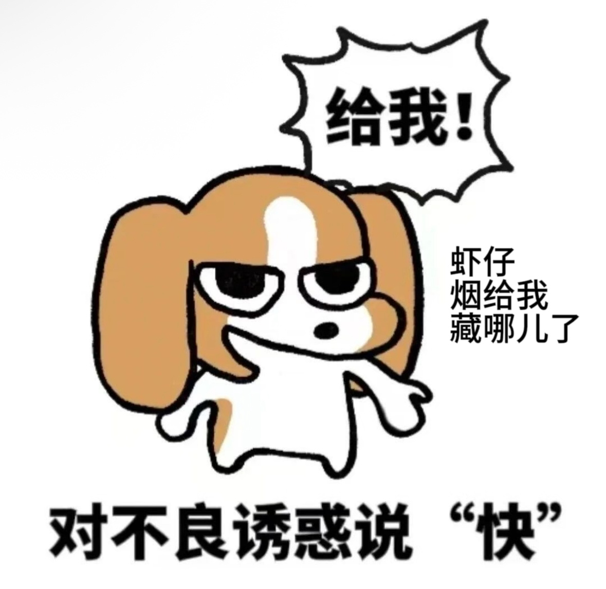 张海盐本相难道不是比格吗你说对吗张新成南部档案开播 张新成演技