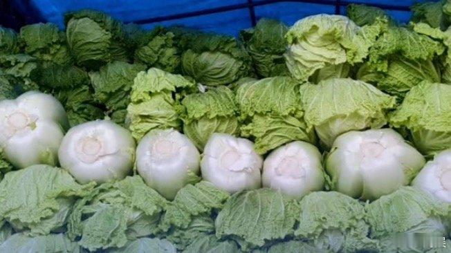 甲醛白菜未流入北京新发地放心，谁都逃不掉的，不只是这里的白菜，也不只是白菜才需要