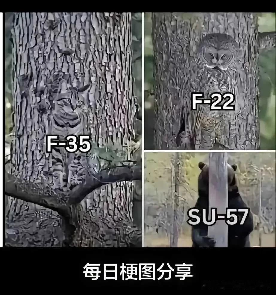 是不是有点皇帝新装的意思？