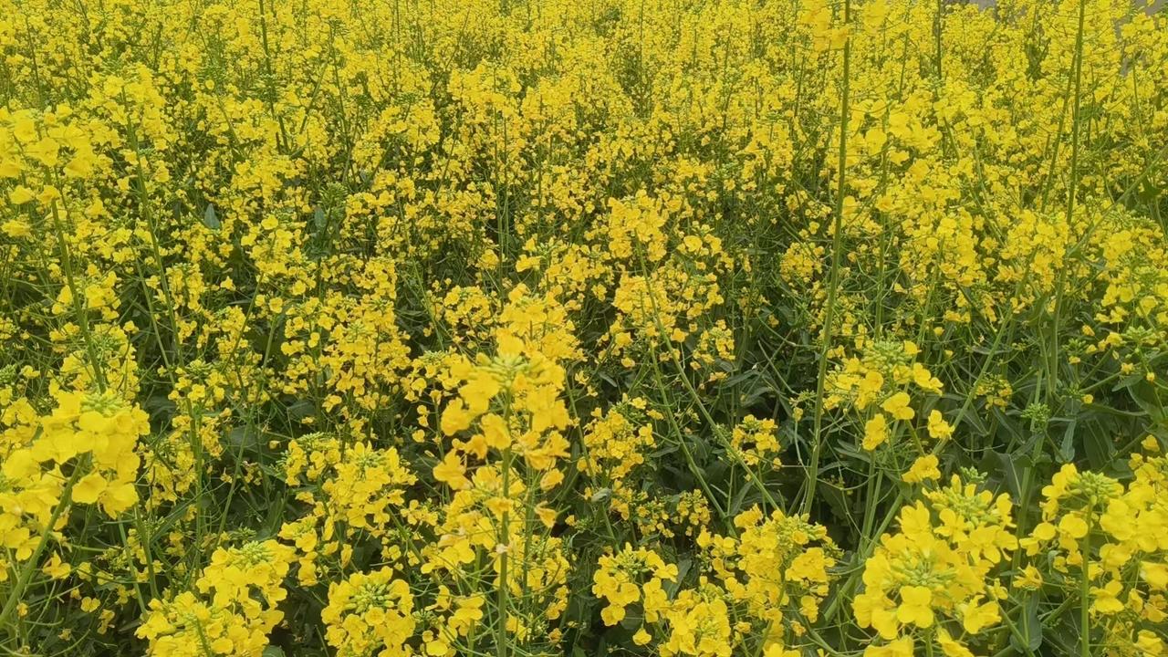 我渐渐读懂了因果，明白了天道。我再也不羡慕那些看上去什么都有的人。因为你最终会明