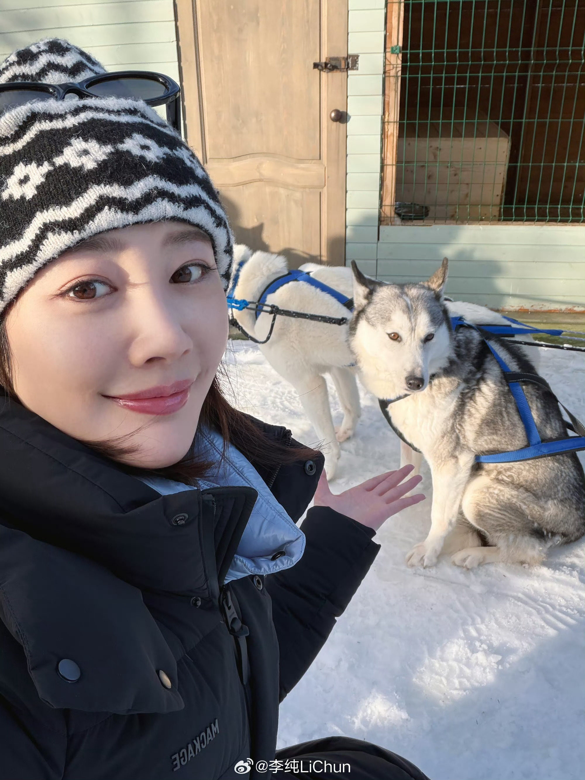 熊见到李纯也忍不住贴贴看李纯vlog嘴角没下来过小动物都抵挡不住李纯的温柔主动贴
