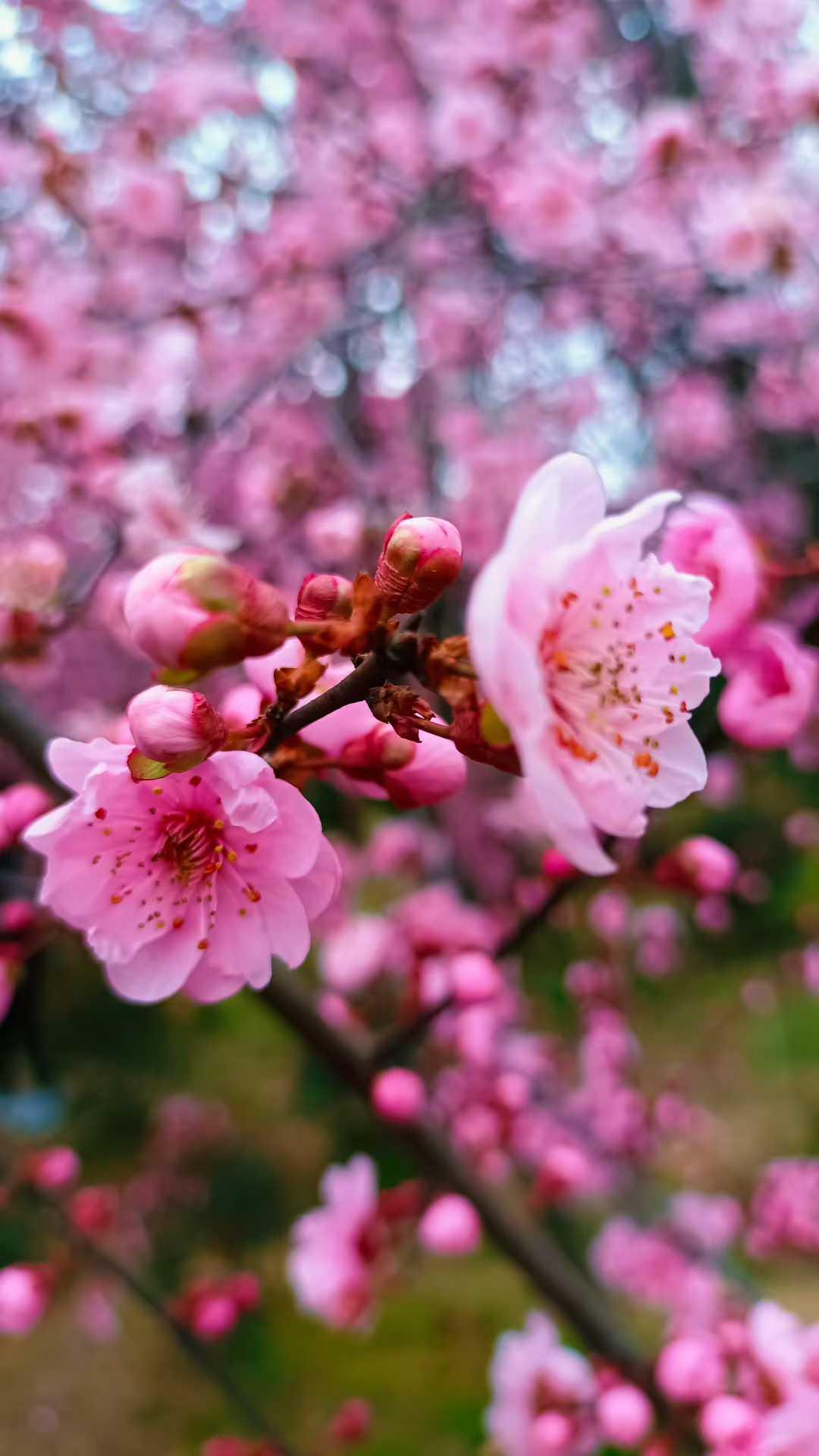 常乐 于心~[心]
时光，因懂得而美好；
岁月，因感恩而厚重；
生活，因知足而温