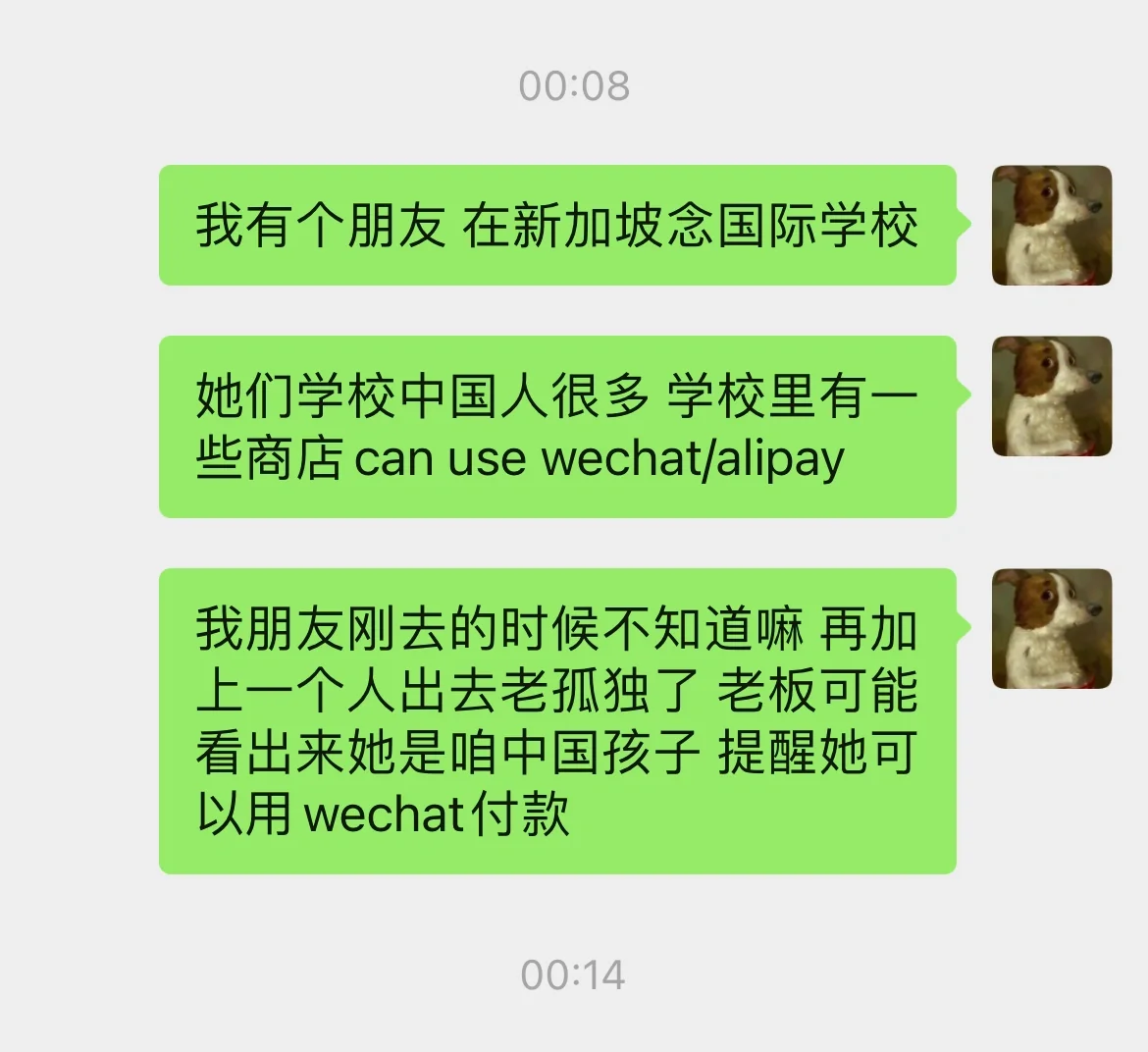出国留学 但熊出没