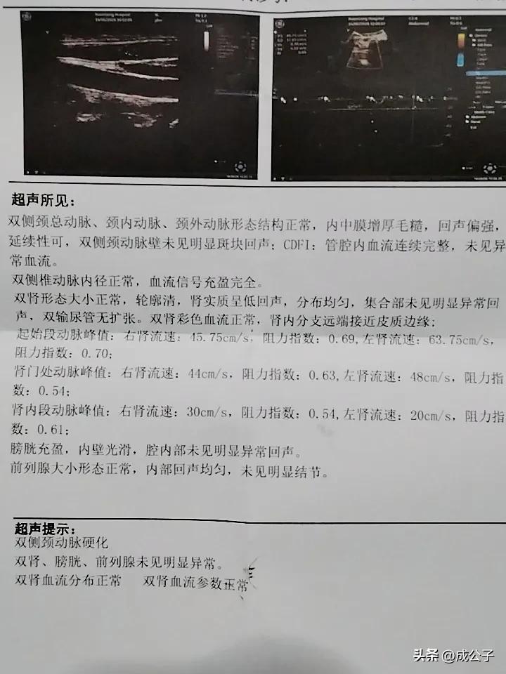 50 岁的我，兜兜转转半生，落叶归根，回到家乡，找了份能上保险，有养老保障的单位