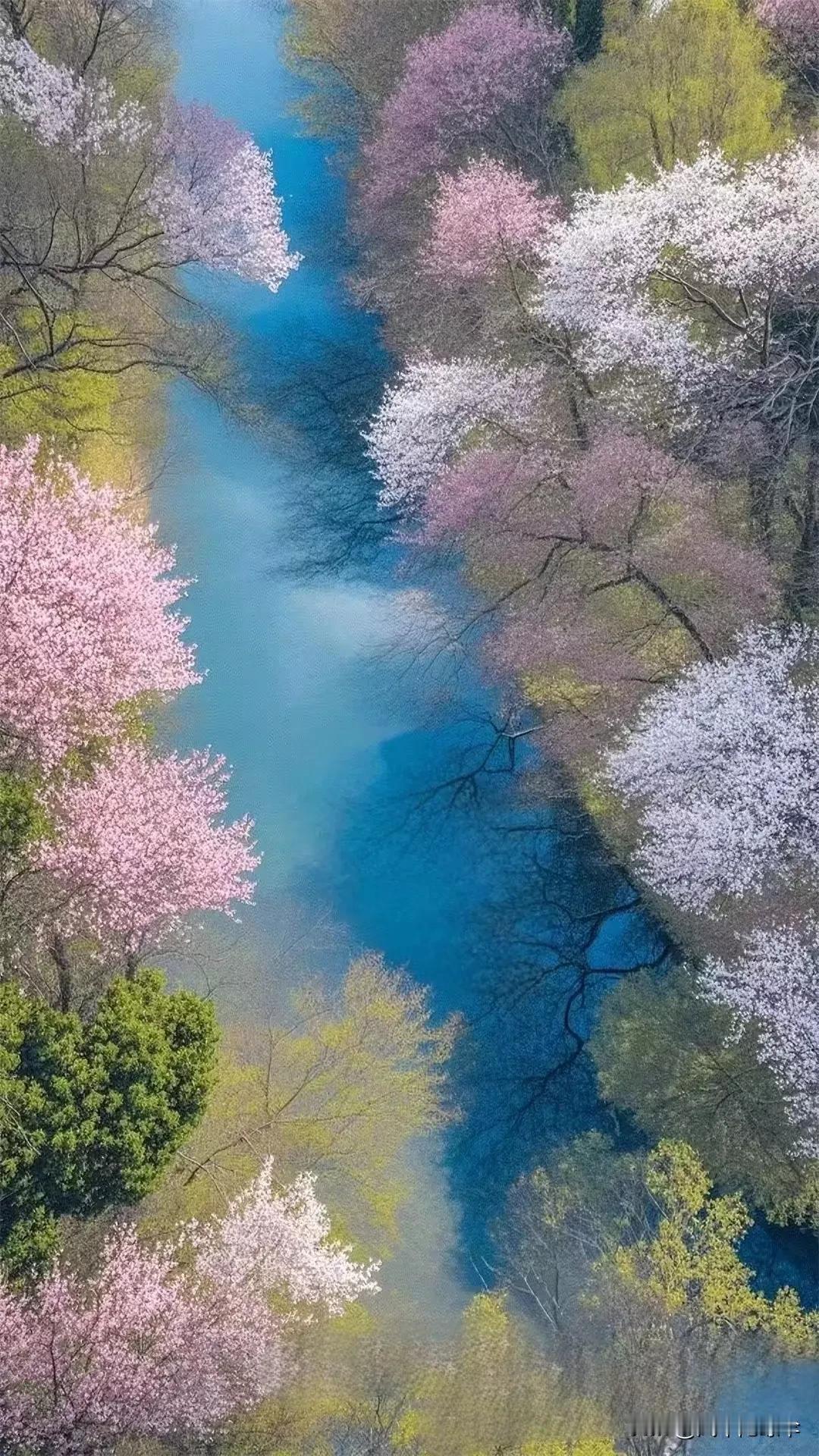 每个人的心中都有一幅至美的风景，
那风景可以是一个美丽的片段，
可以是一个平凡的