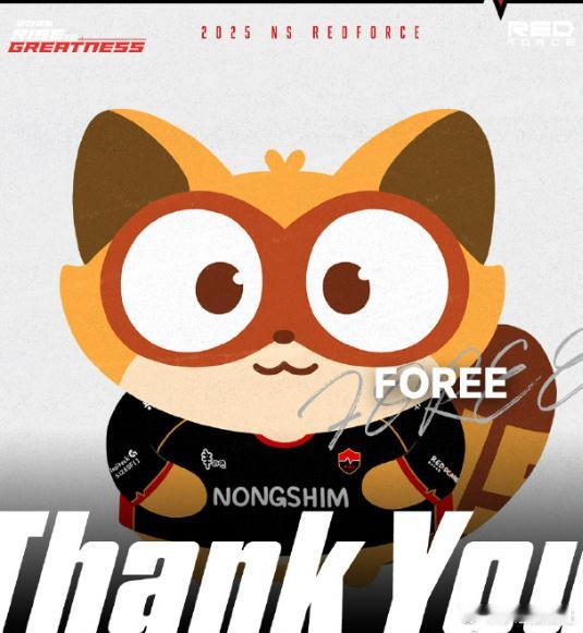 NS刚刚送别了吉祥物FOREE，紧接着便官宣小浣熊Neoguri加入！！听闻Ne