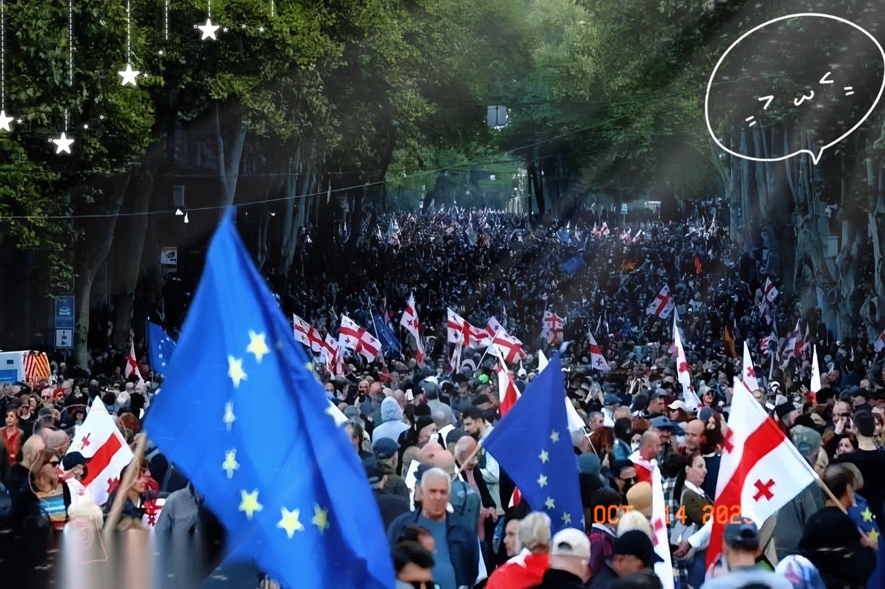 格鲁吉亚刚说不掺和大国打架，街上就“冒”出一群举牌的，这戏码咋跟乌克兰当初一模一