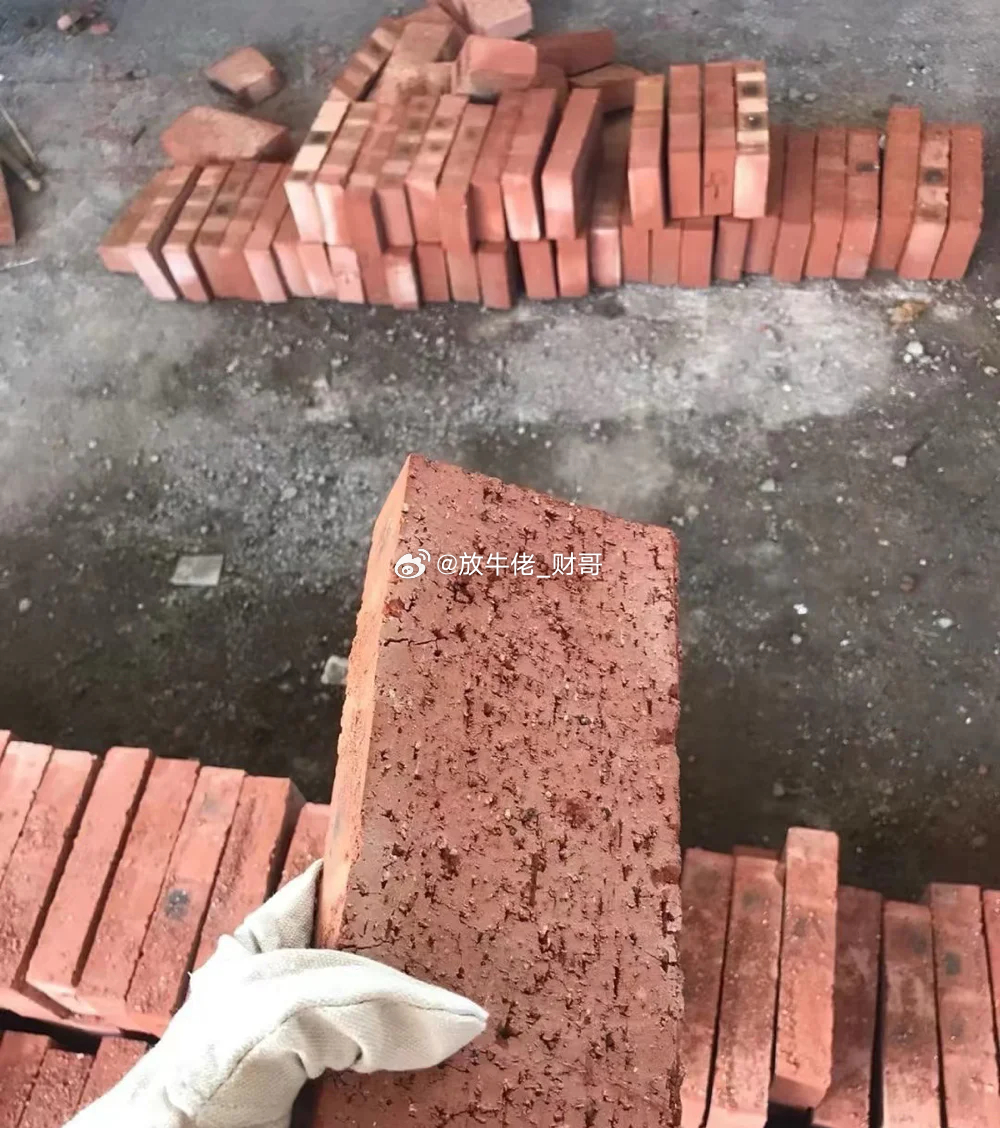 最近的砖搬的有点烫手今天主要还是算电协同，那几天都是电力走强，今天把算力也带了一