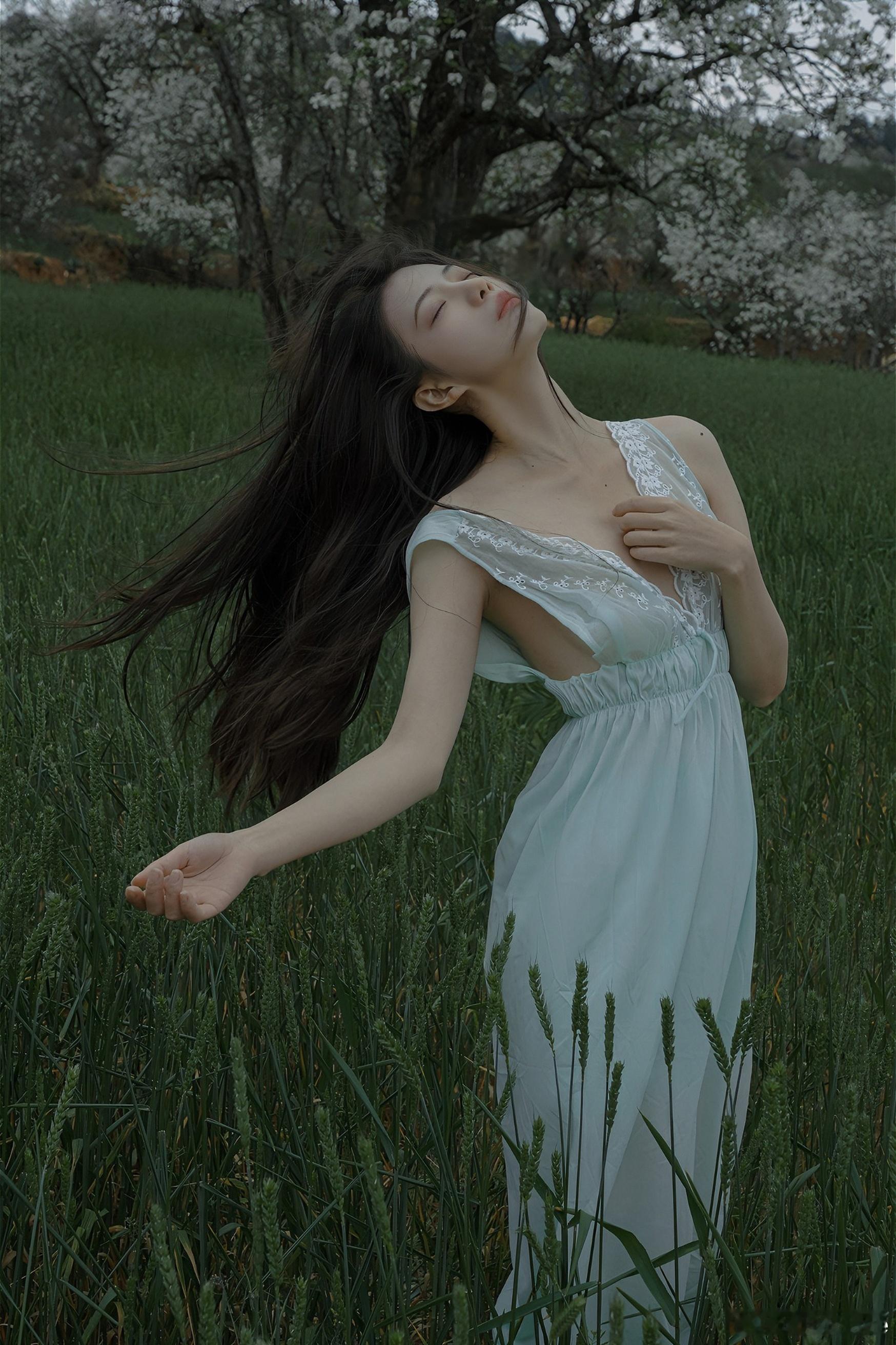 梨花盛开听风细叙- ​​​