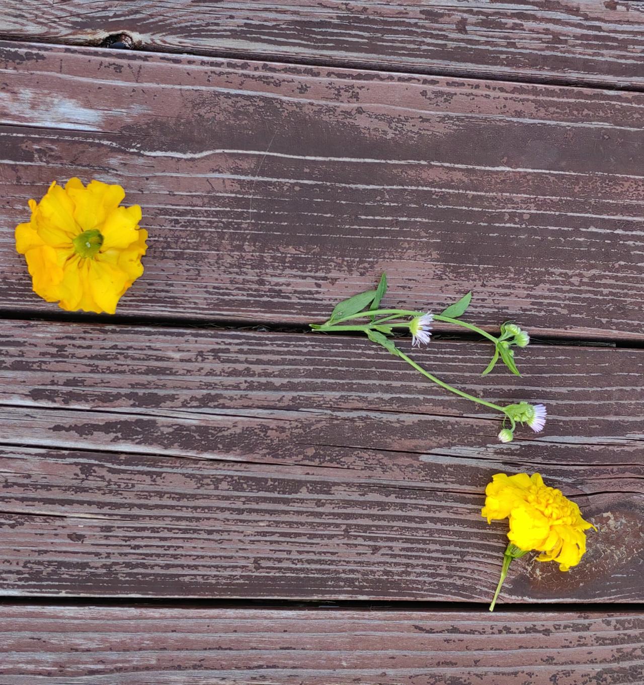 一位经常搞讲座的“专家”说，到某个单位不用四处问，也不用相信“介绍”，听、看基本