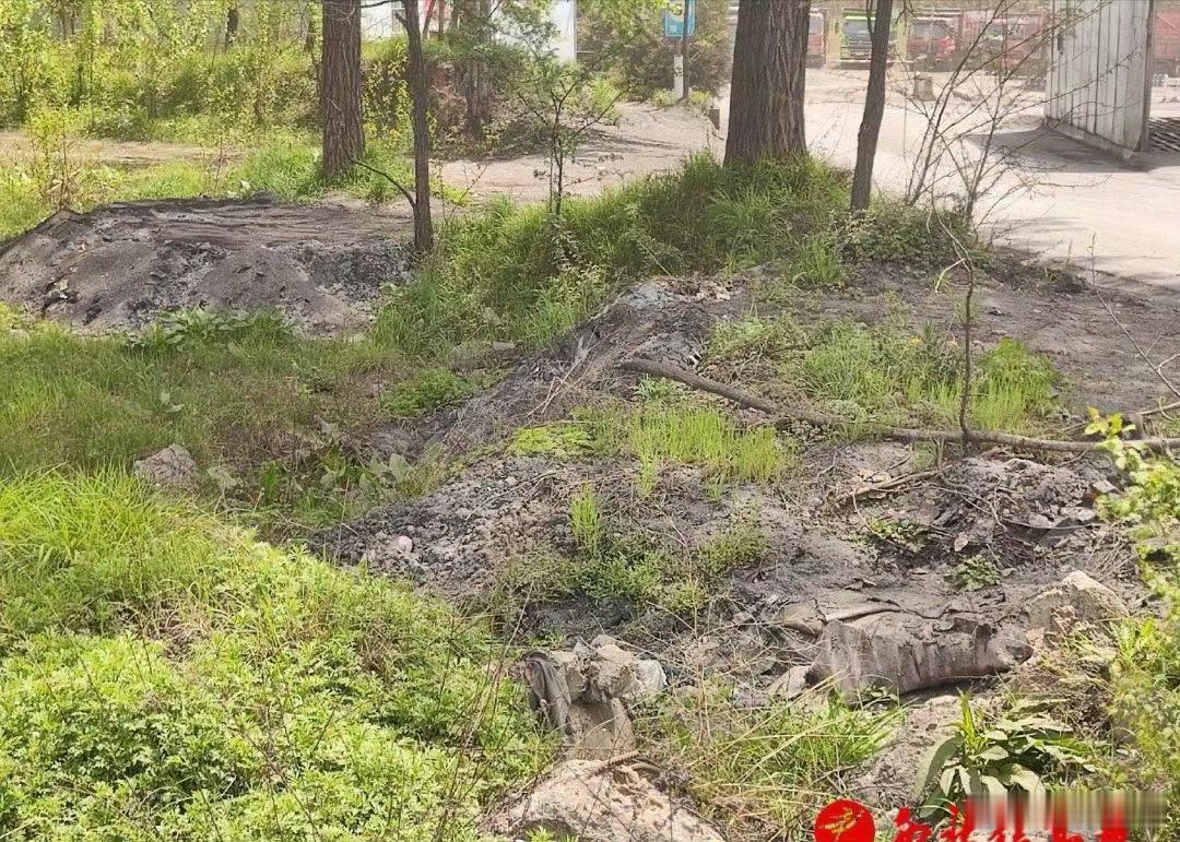 【生态修复还是生态破坏？——陕西咸阳彬州市一生态修复项目被指存在环境污】“生态修