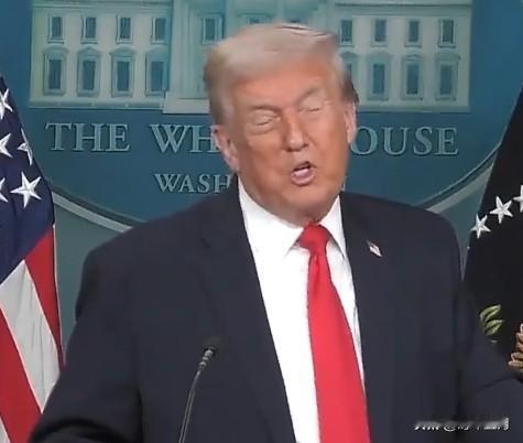 记者：您希望您的和平委员会取代联合国吗？

特朗普：可能会。联合国本该解决我解决