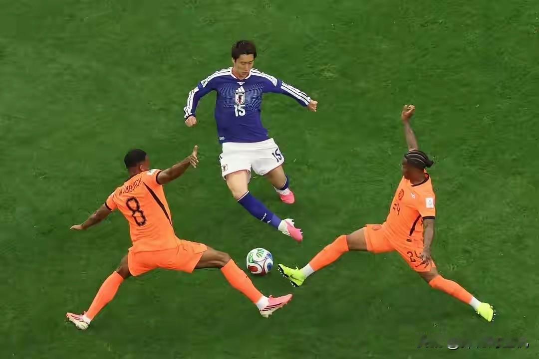 日本全攻全守 2-2 逼平荷兰后，中国球迷的“十大复杂心情”

话说2026年6