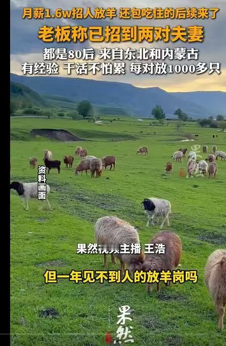 月薪1.6万元放养，看着挺诱人的工作，到底值不值得去？相比之下，我瞬间觉得自己的