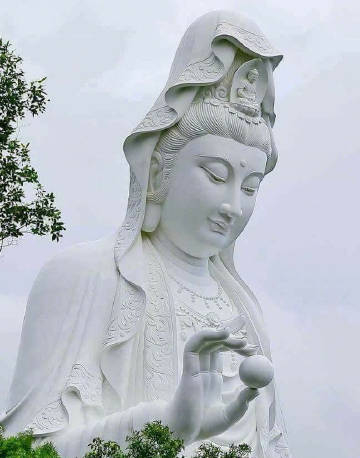 见佛转发 会有好事出现🙏 ​ ​​​