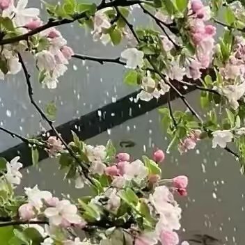 阳光信用 阳光‬‬信用 每日一善 一岁有一岁的味道,一站有一站的风景,你的年龄应