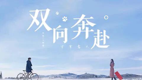 双向奔赴，我来了！
无论你来自何方，
不管我情归何处，
我们都在这里相遇。
品着