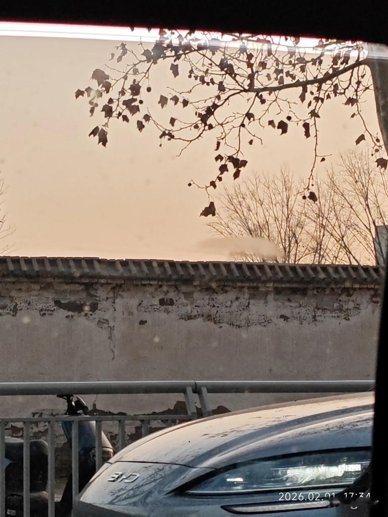 这是一个梦，
但是却十分逼真，
儿时的画面又重新闪现。

晨光从百叶窗的缝隙漏进