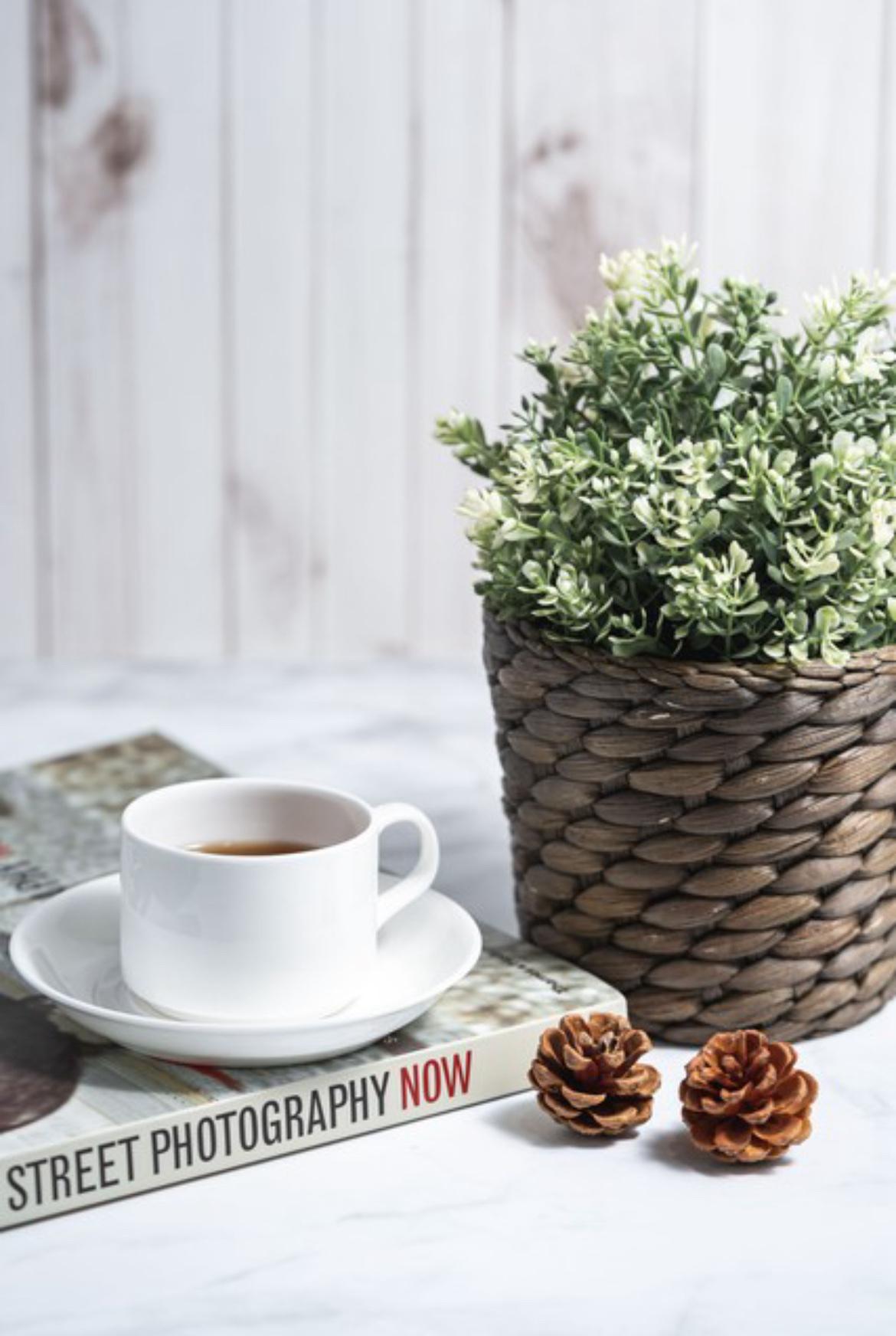 人与人之间最舒服的关系，就是不用讨好。
不用小心翼翼，不用刻意找话题，不用假装热