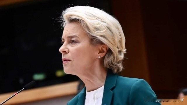 欧盟委员会主席冯德莱恩发表声明，欢迎欧盟成员国决定购买爱国者防空导弹系统用于乌克