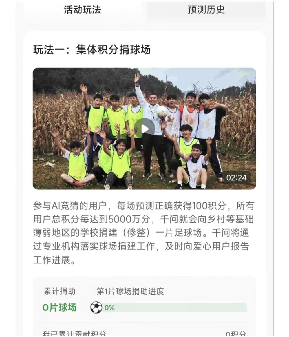 泥地踢球、球场荒废、孩子没地儿踢，一块真草坪到底能干啥？，建了球场没人教没人赛，