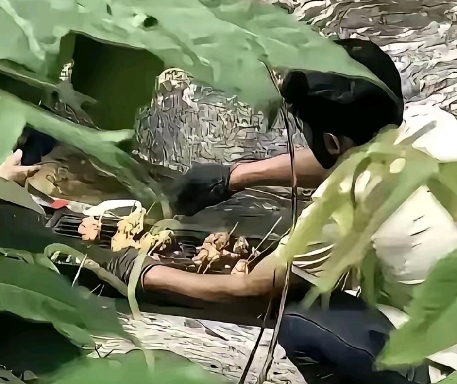 关于印度人在秦岭西安金龙峡林中烤肉的事，目前还没有官方后续处理通报。

很可能不