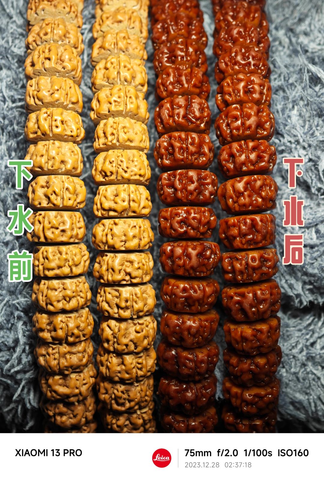 NO.357 小金刚下水有什么变化