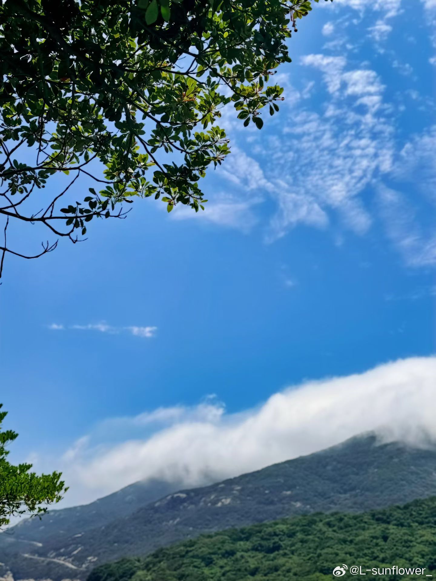 你已经超厉害了。换旁人经历你的坎坷。未必能从容坦荡走到现在。早安☀️ 