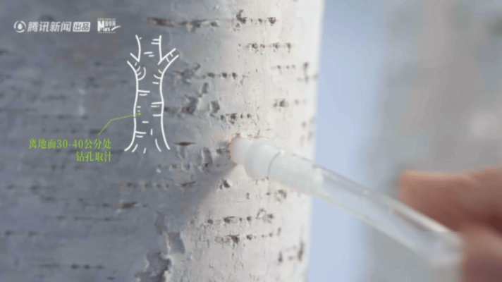 没有不被东北安利的义务腾讯新闻极地溯源 无水护肤从大兴安岭一路干到实验室，东北的
