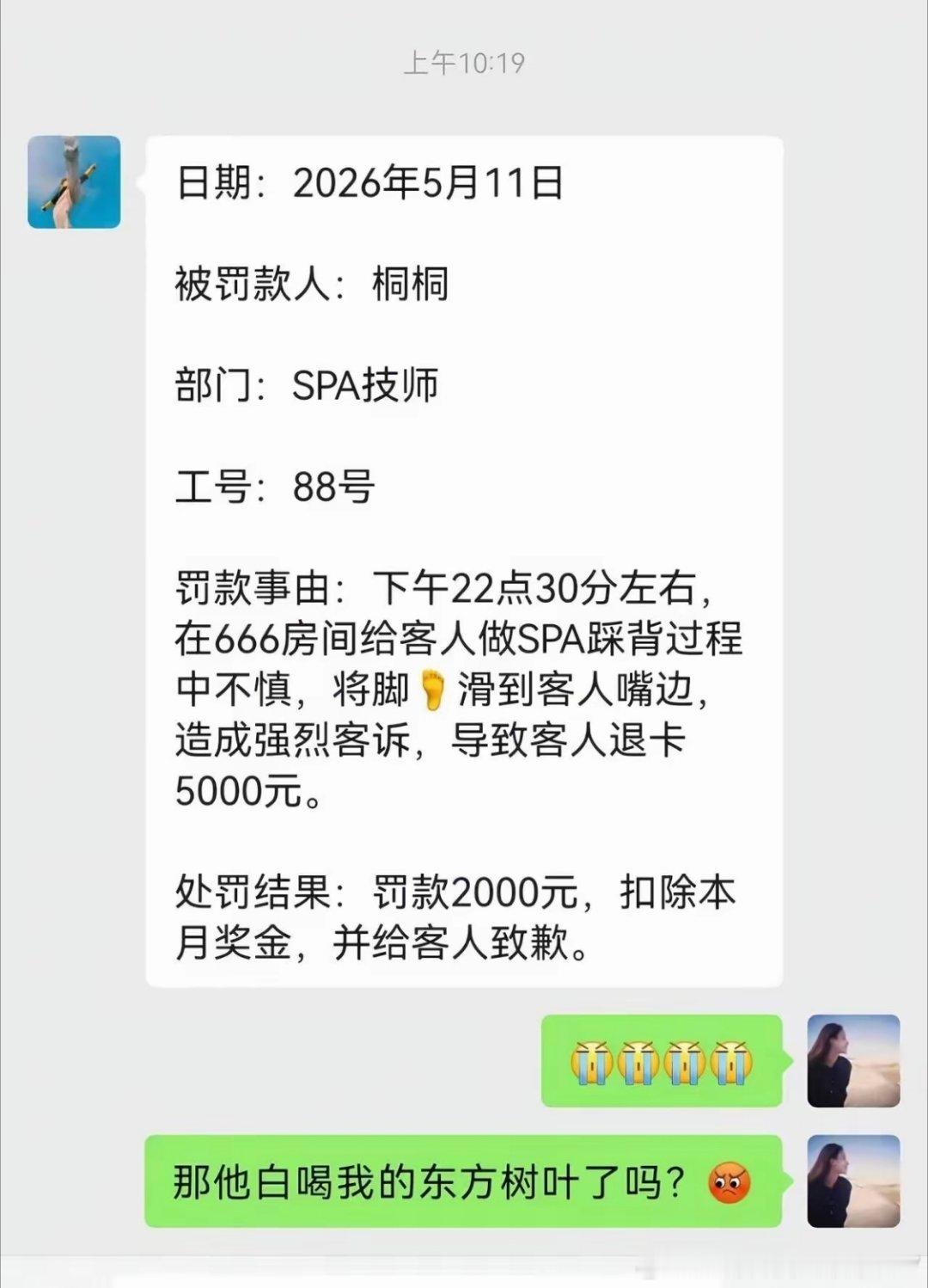 东方树叶是啥意思？ 