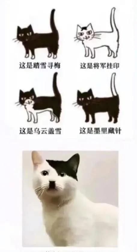 这个混得不太行[捂脸]