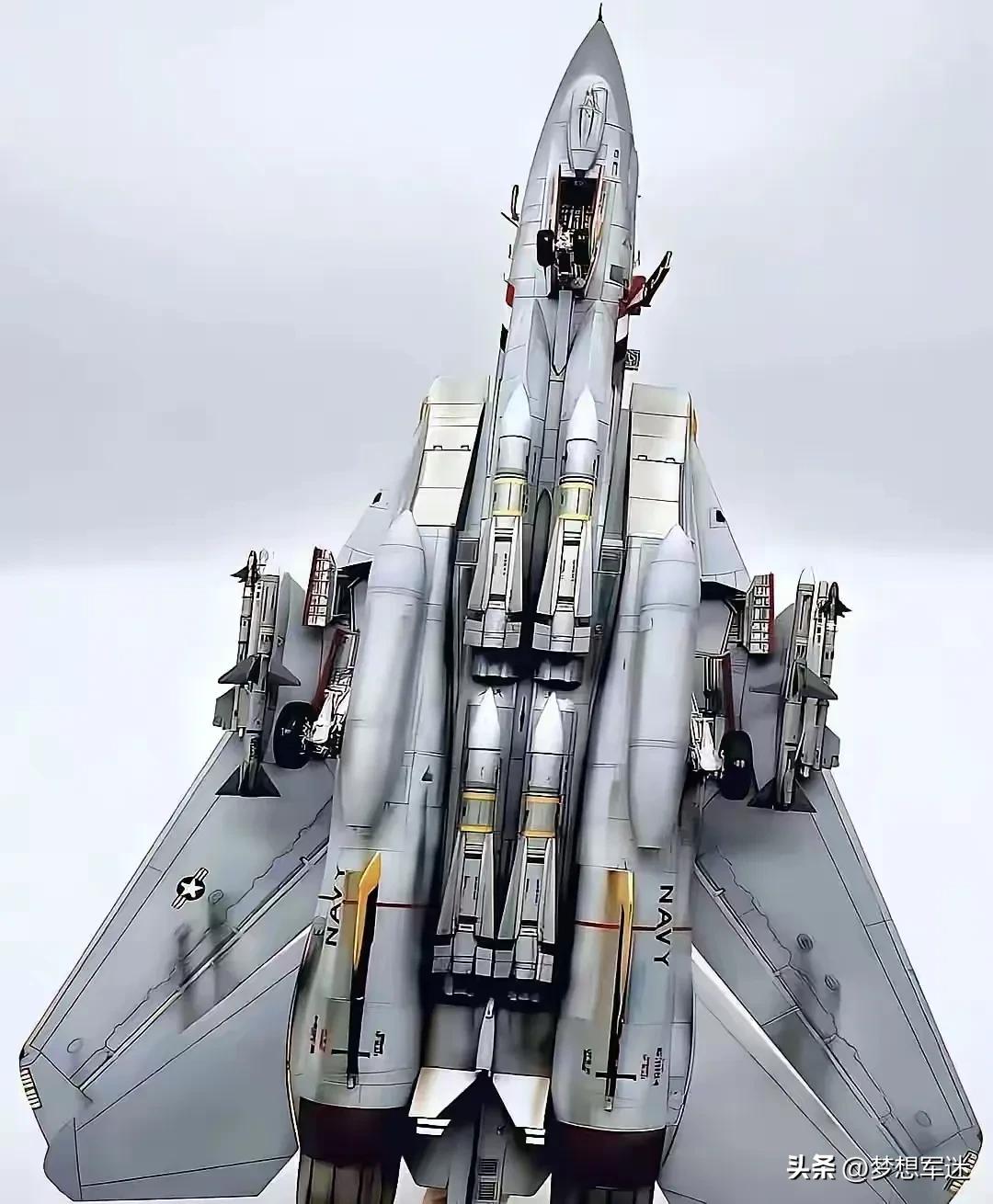 提起F-14“雄猫”舰载机，很多老军迷心里都会咯噔一下。

这架飞机，把美式暴力