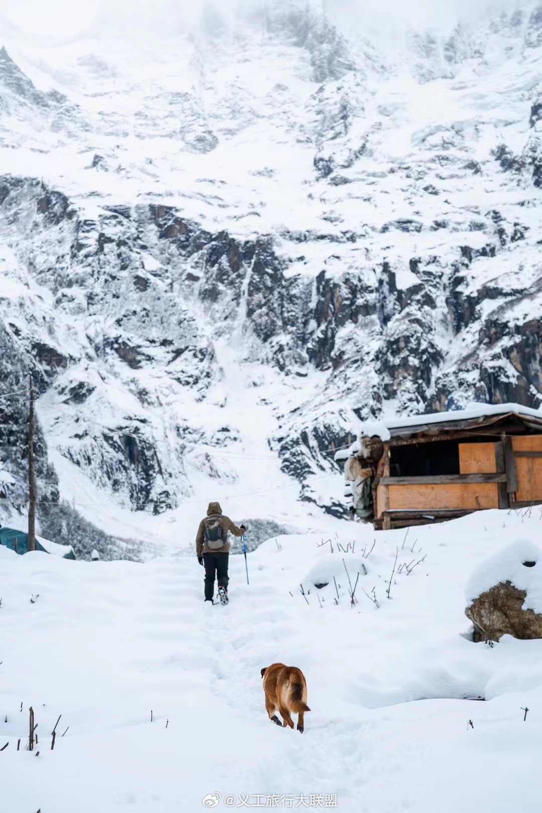 2023年，雨崩村的第二场雪，比往年来的更大一些！🌨️#云南旅行##丽江旅行#