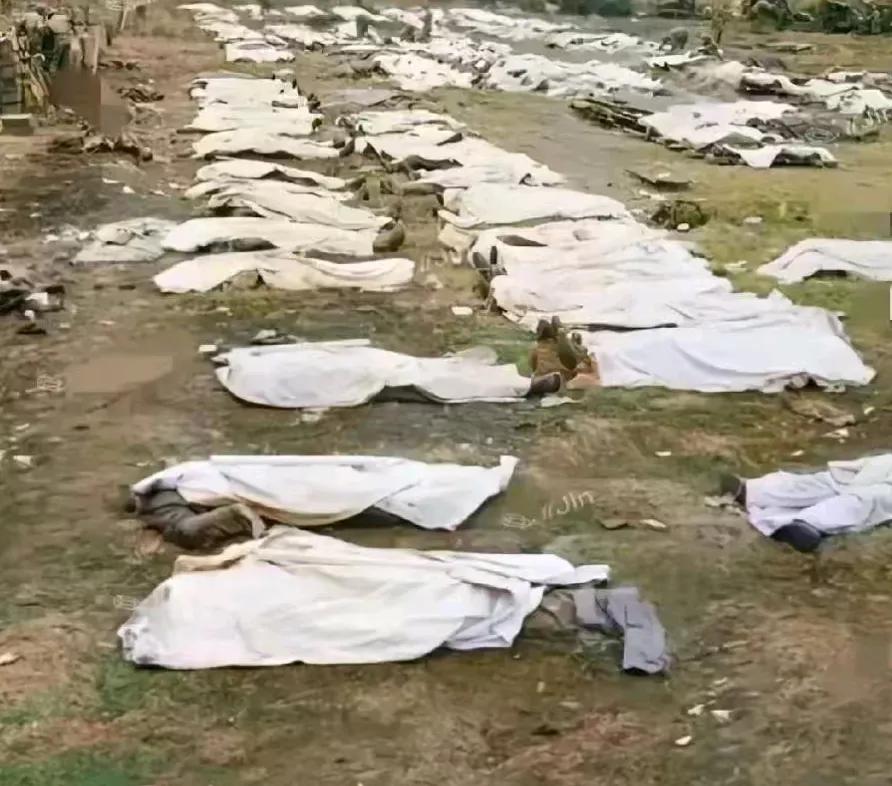 对越自卫还击战期间，战地烈士火化组送来了众多烈士遗体，多得火化间都停放不下。于是