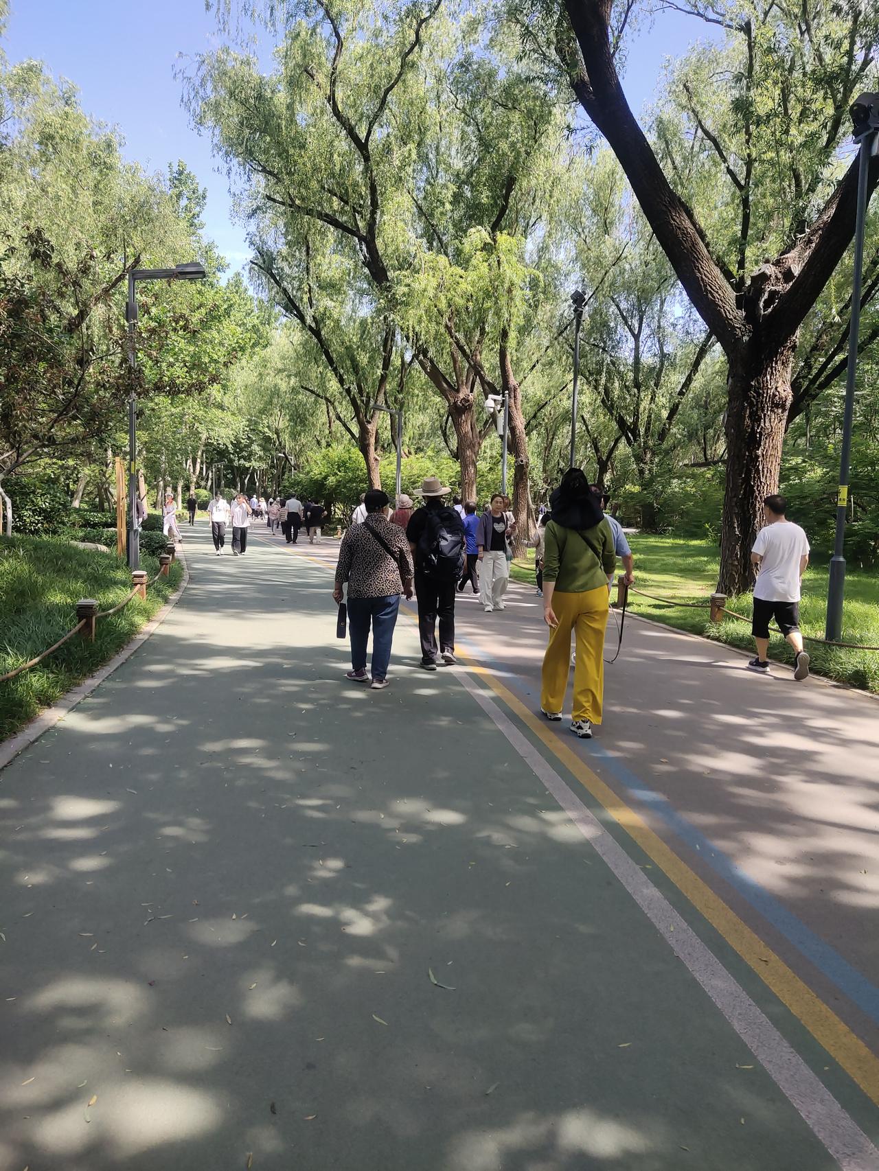 夏日炎炎，济南森林公园绝对是夏日避暑的好去处。这几天气温闷热，这里就成了市民的避