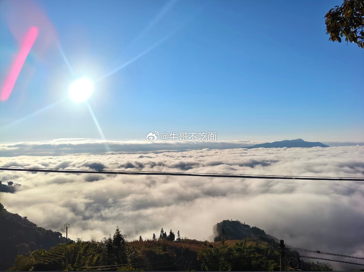 各位友友早上好☀️新的一天新的行情，开盘前夕先来签到集合啦！评论区赶紧扣168，