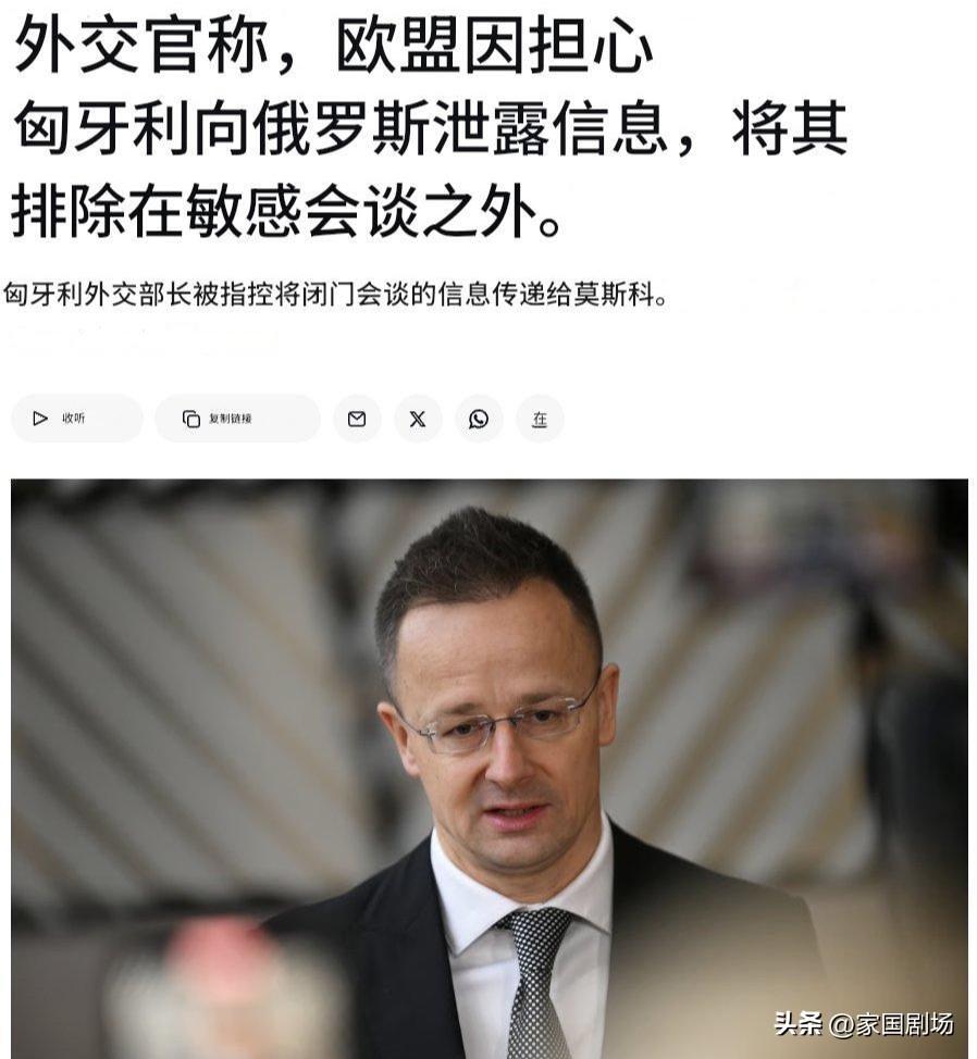 欧盟各国正日益将匈牙利排除在敏感议题的讨论之外，担心匈牙利可能向俄罗斯泄露信息。