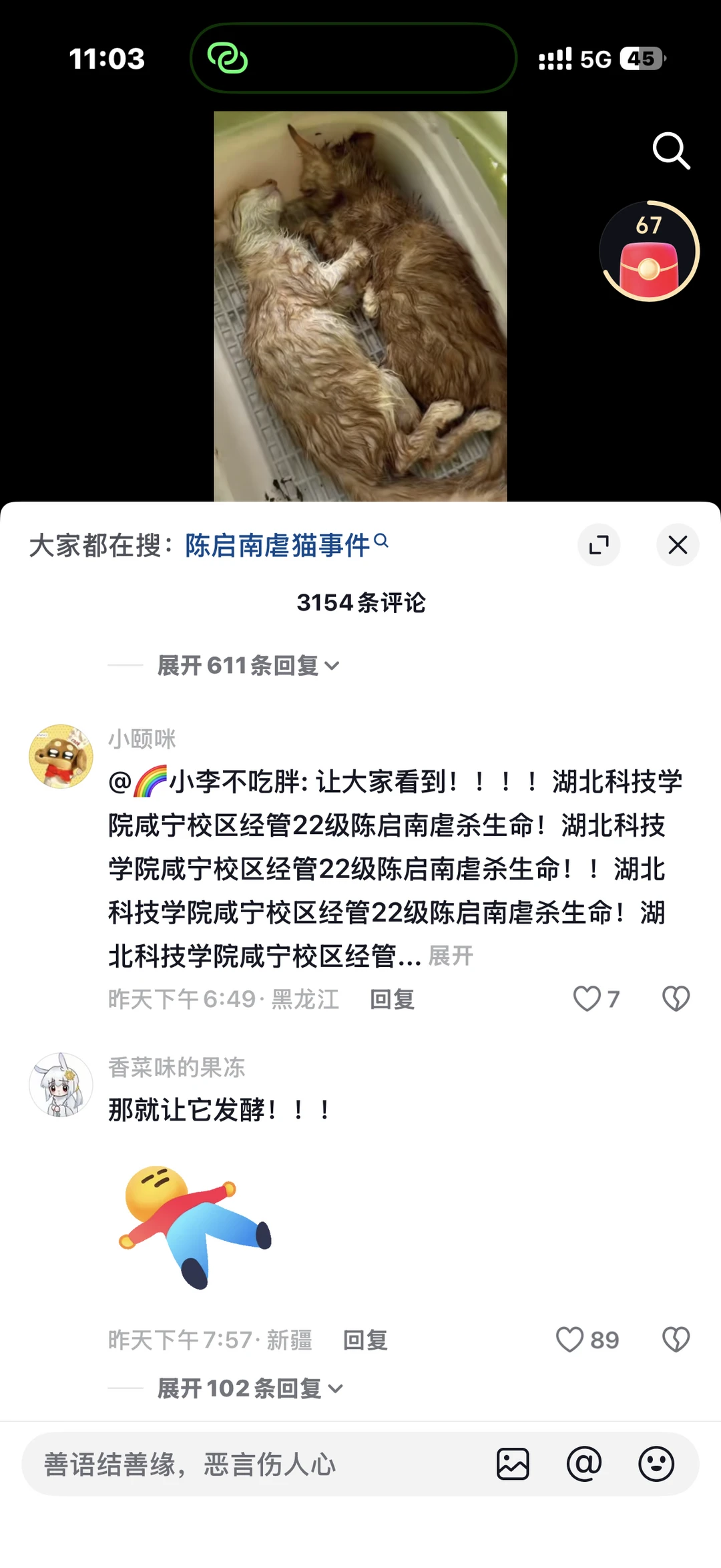 那就让它发酵！！！