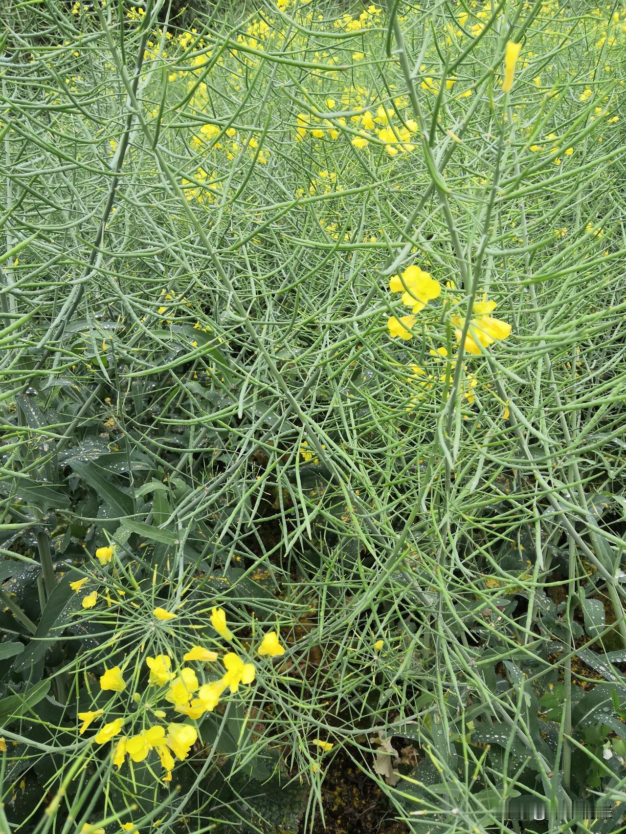 善良给你带来了什么善良是美丽的，和善良的人相处是很融洽的，我们都要善良，才能够给