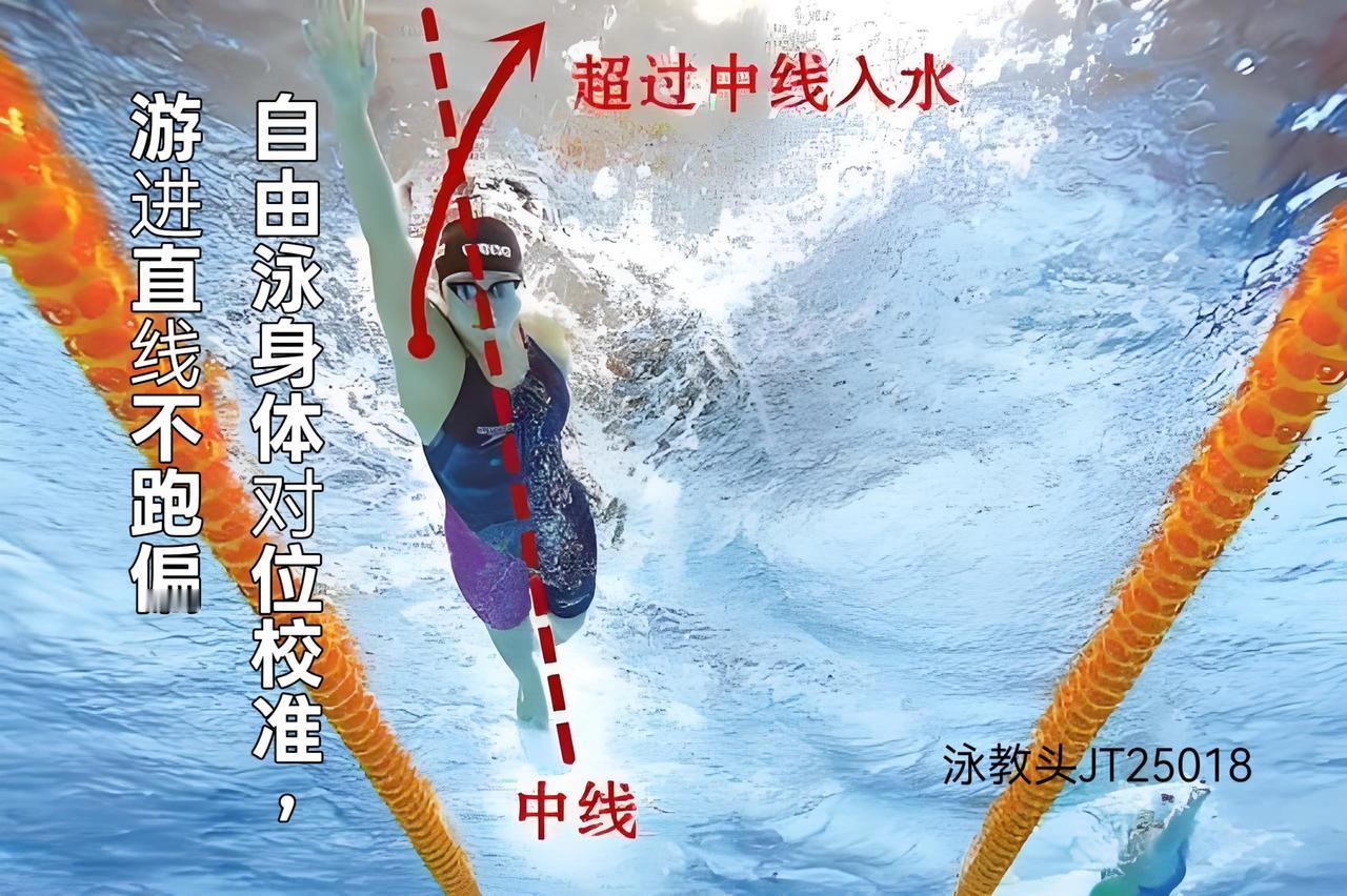 泳教头 | 泳讲堂：自由泳身体对位校准，游进直线不跑偏
 
不少泳友游自由泳时，