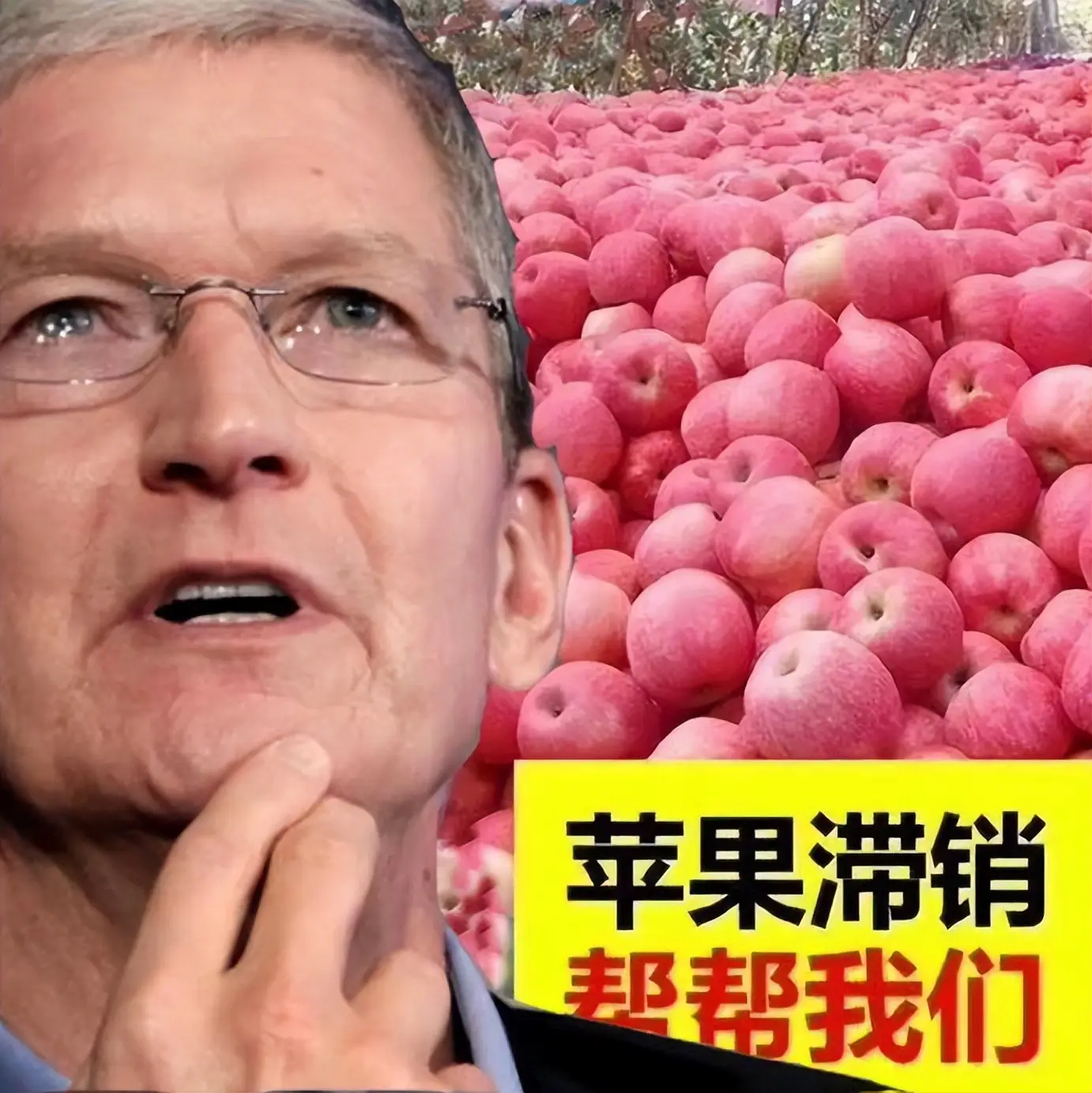 这个时候是不是该上这张神图了？[哈哈][哈哈][哈哈]苹果渠道官方调价 ​​​