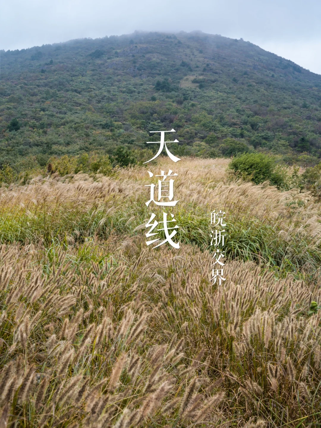 秋染天道线 | 雾锁黄花关，云拨千顷塘