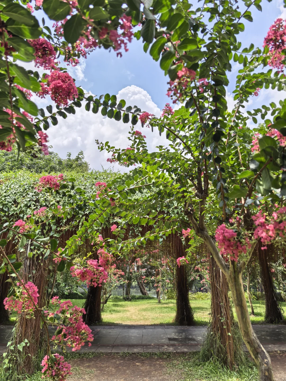 （广州）一年四季赏花指南🌷