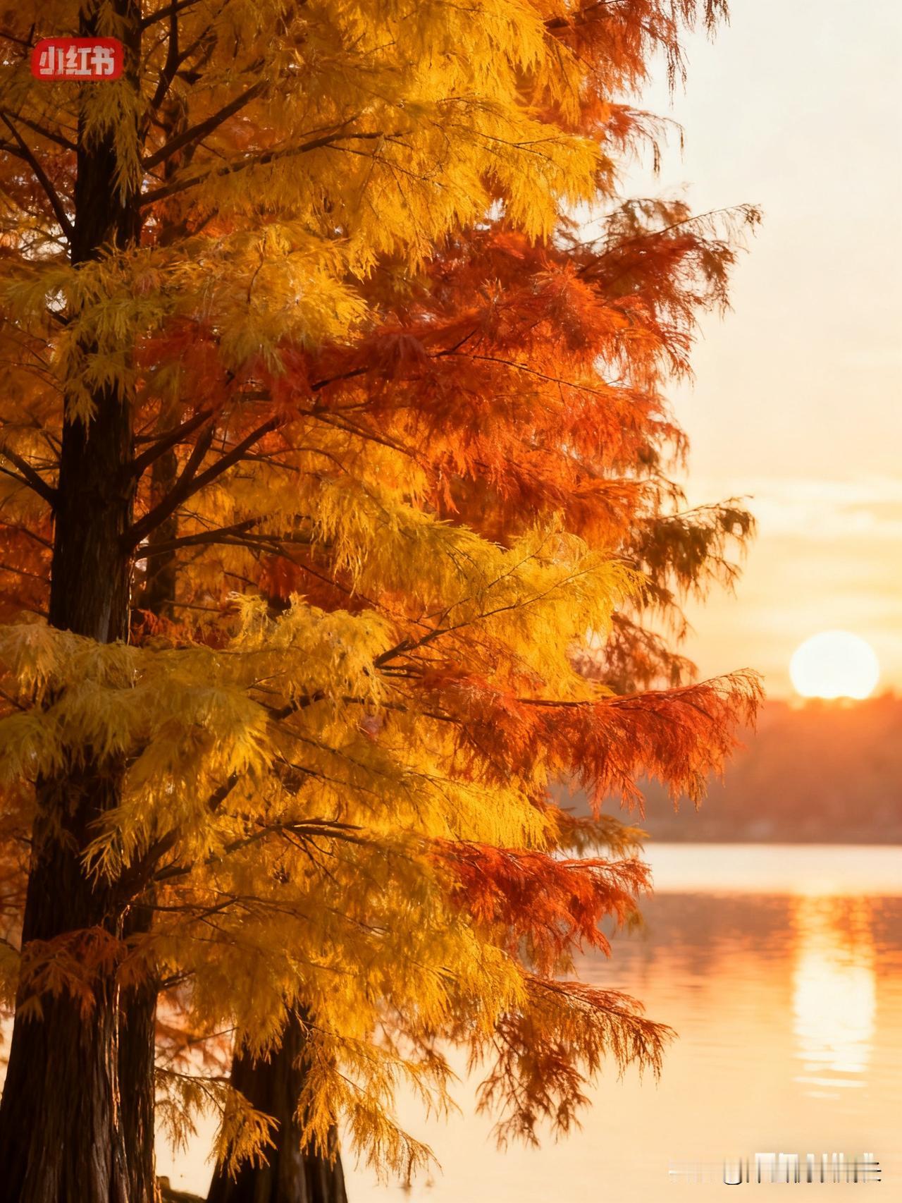 人过半生，
谁没遇过遗憾，
谁没受过委屈，
可最傻的执念，
从不是错过的风景，