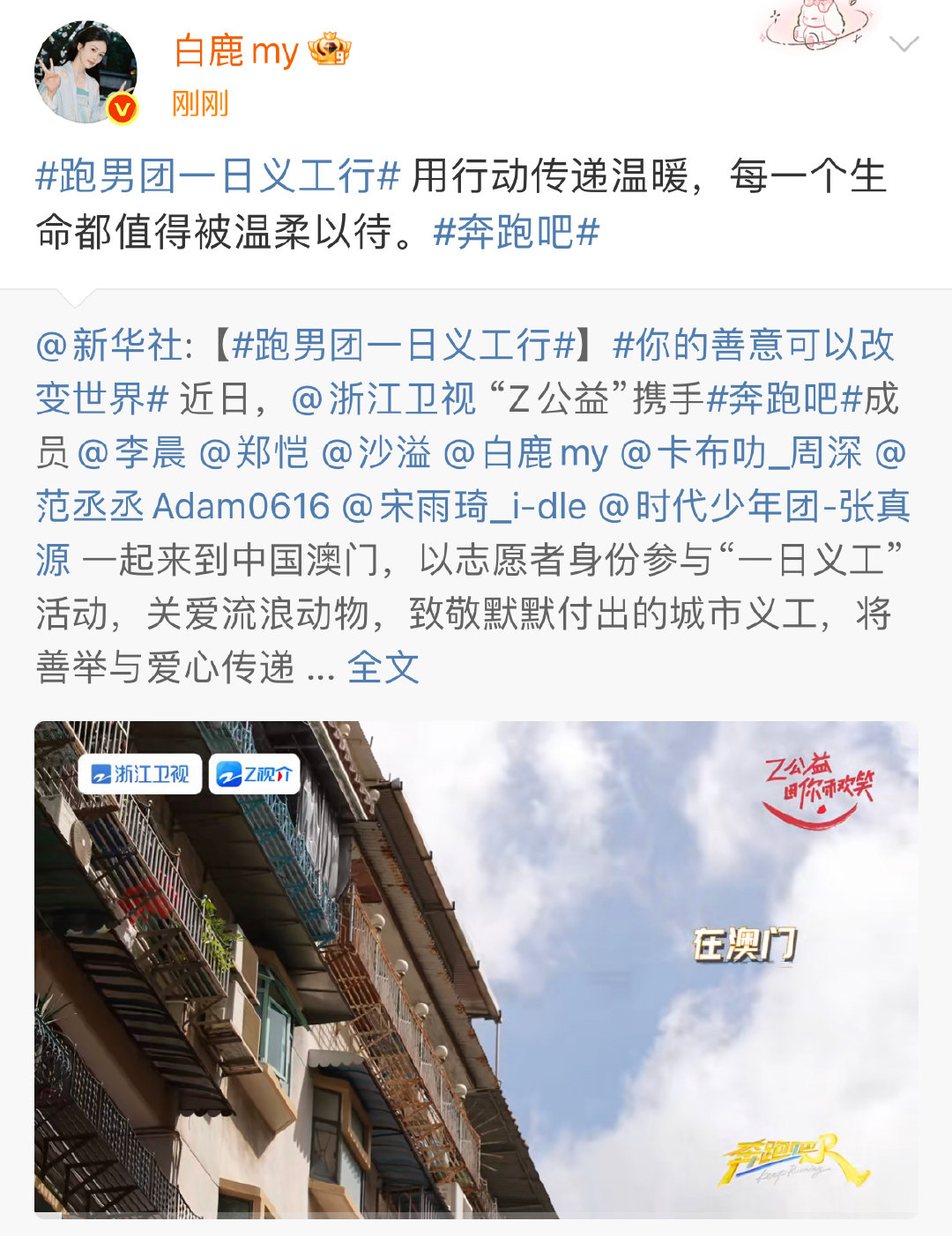 白鹿用行动传递温暖白鹿每一个生命都值得被温柔以待 白鹿用行动传递温暖，每一个生命