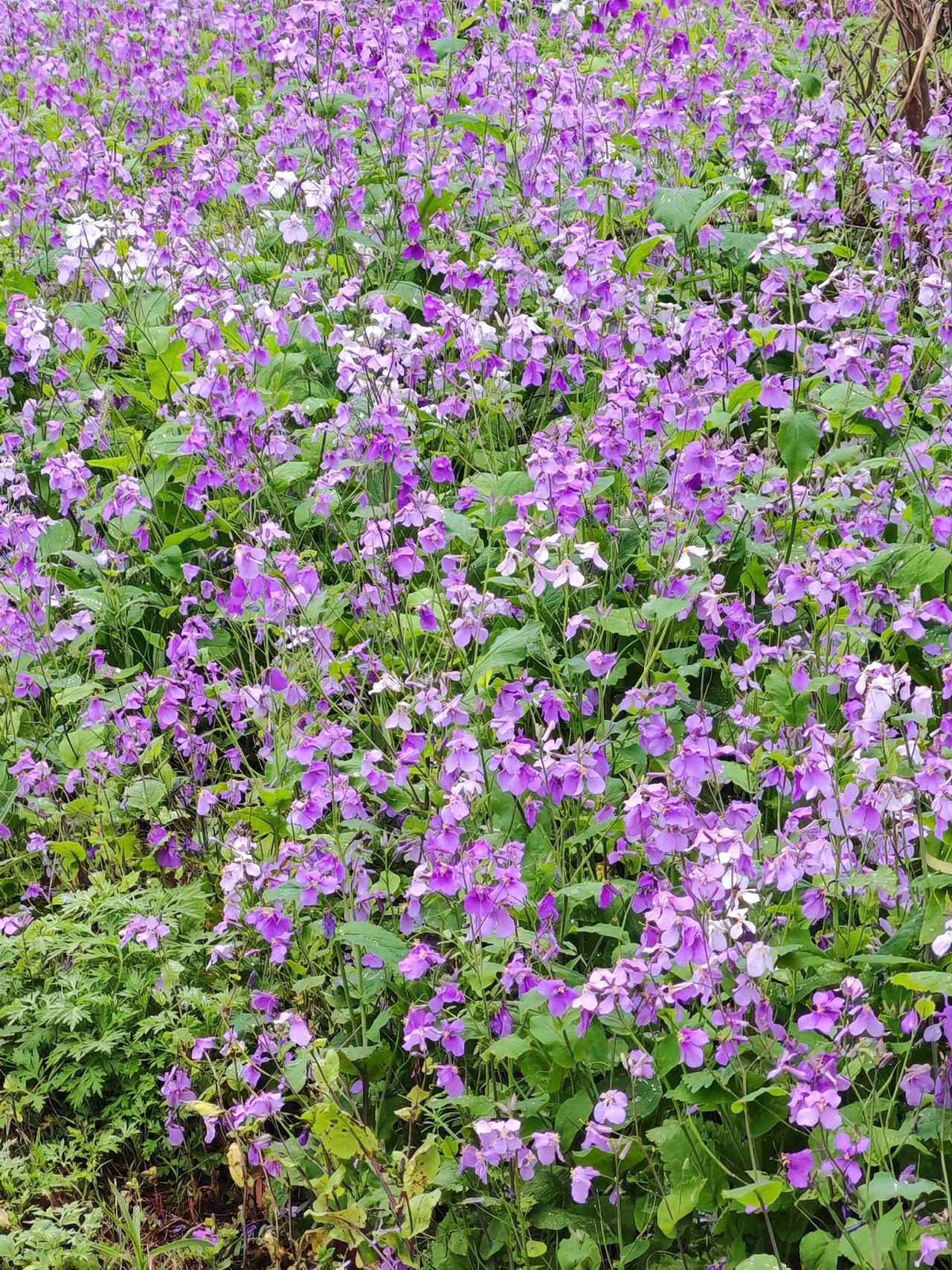 我的今日状态：😁轻松愉快
我这里的天气：🌤️多云